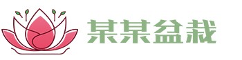 yy易游(中国)体育.官方网站-米乐