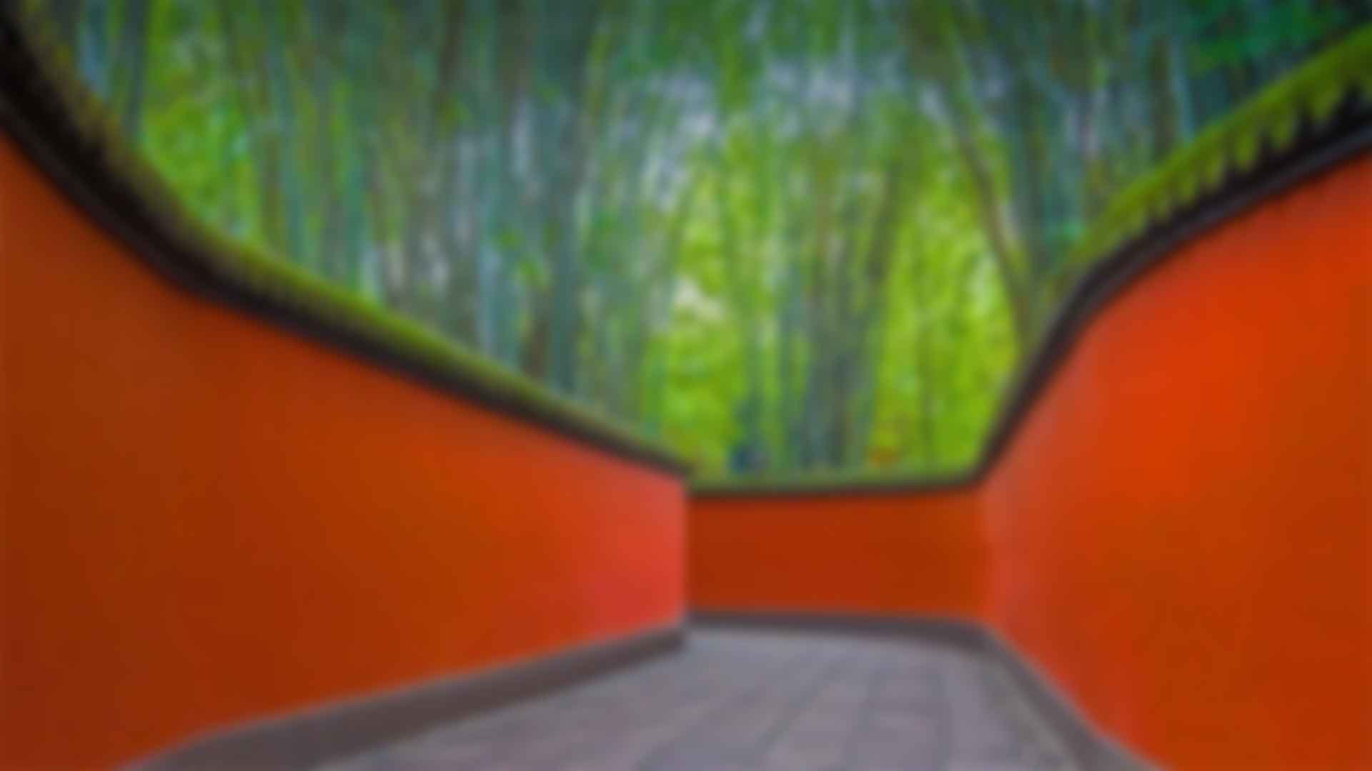 ӵʽ